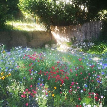 Ferienwohnung Belle Dependance De 30M2 Avec Terrasse Et Jardin Villeneuve-lès-Avignon Exterior foto